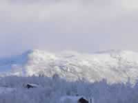 Norwegen Skinnarbu Mosvatn