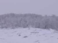 Norwegen Skinnarbu Mosvatn