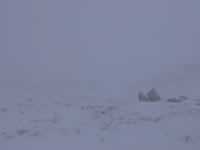 Norwegen Skinnarbu Mosvatn